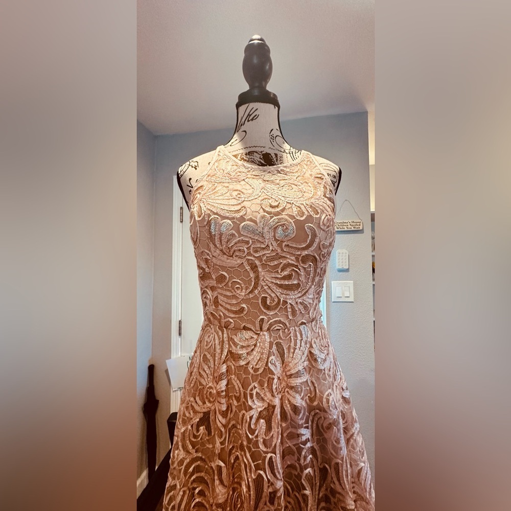 Betsy & Adam Lace & Sequin Formal Dress - Picture 11 of 12